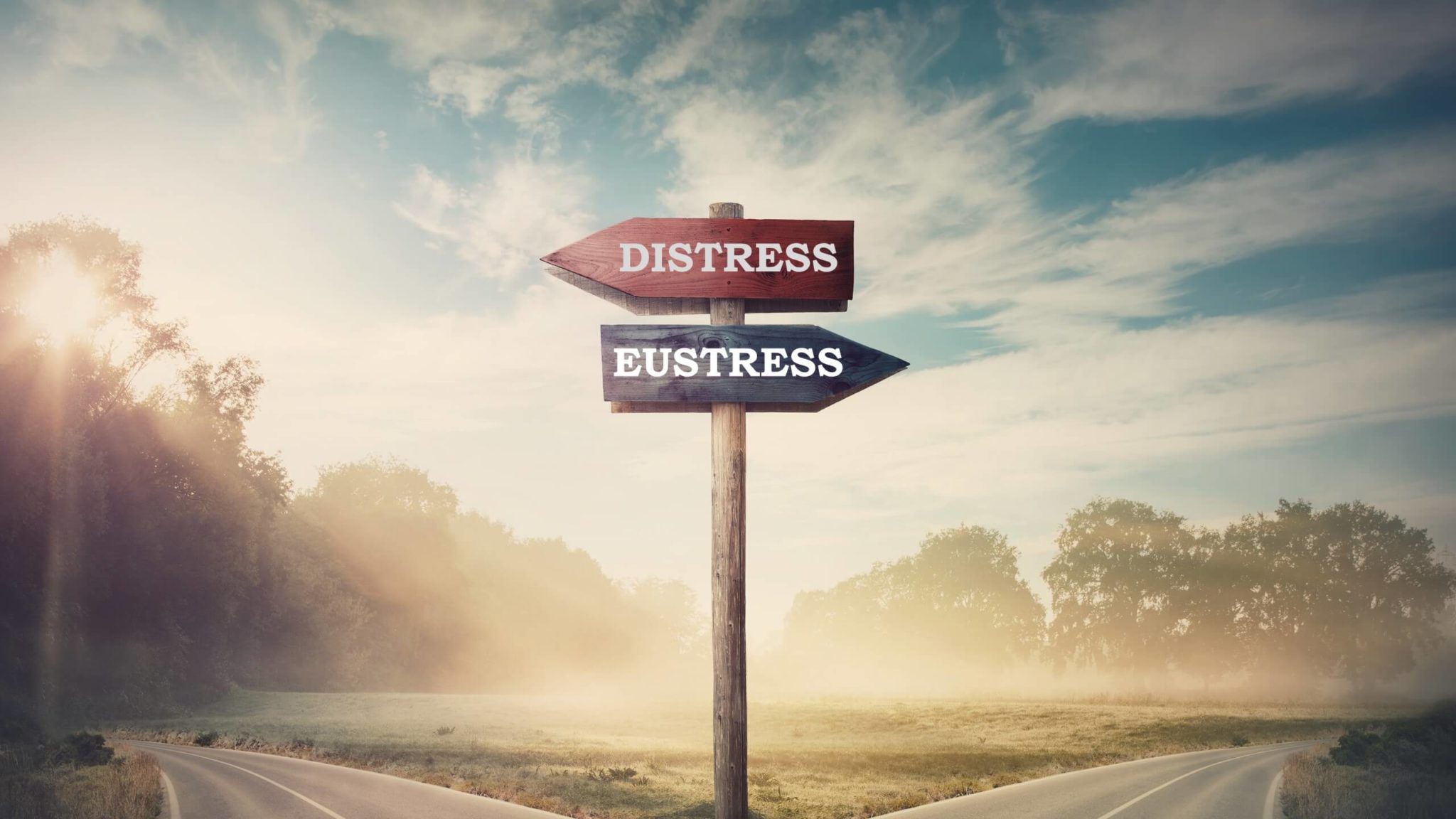 distress-vs-eustress-coronavirus-and-the-road-not-taken